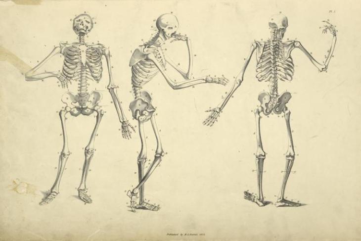 huber 3 skeletons nyp