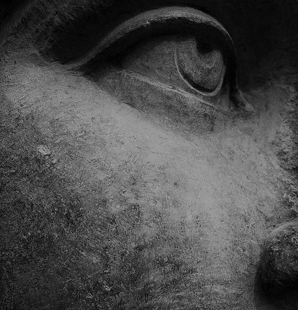 cheek square mercury