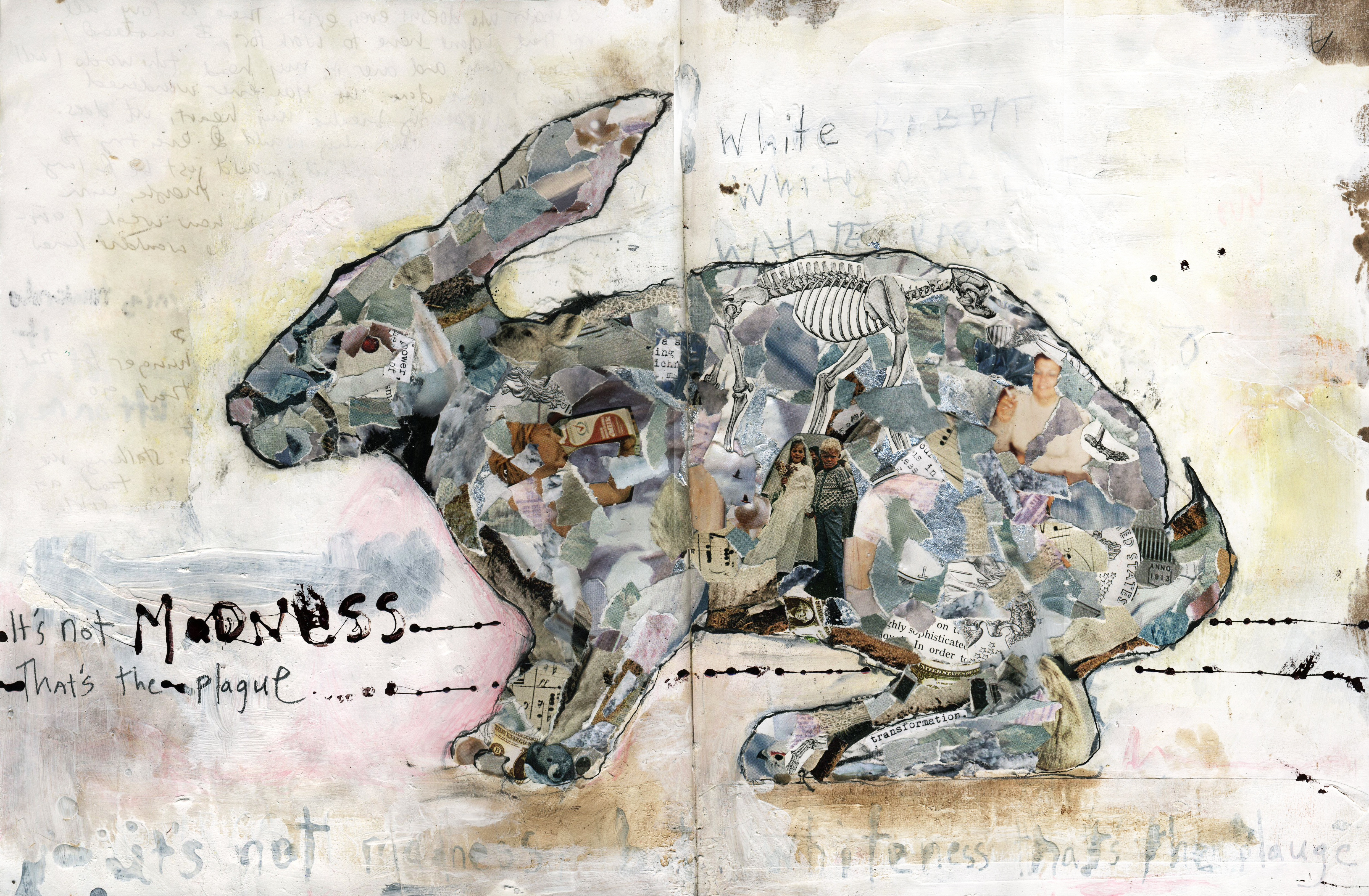 A collage of a rabbit by Catherine Edgerton. The rabbit has a smirking expression. There are words scrawled in the off-white smudged background, including the words white, and whiteness, and the phrase written clearly in front of the rabbit's face, as well as faintly around it "it's not madness, that's the plague". The rabbit is overwhelmingly grey, though that grey is a swirl of blue, brown, black, white, text, photographs of people in color and black and white, a skeletal diagram of a horse, sheet music and other fragments.