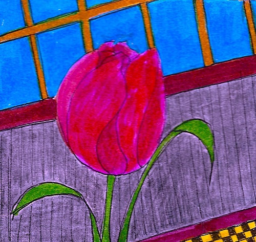 7-tulip