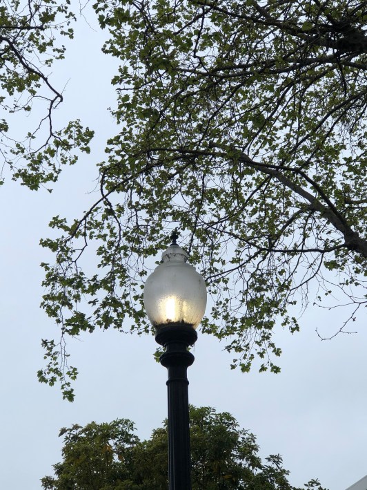 photoB for accompaniment