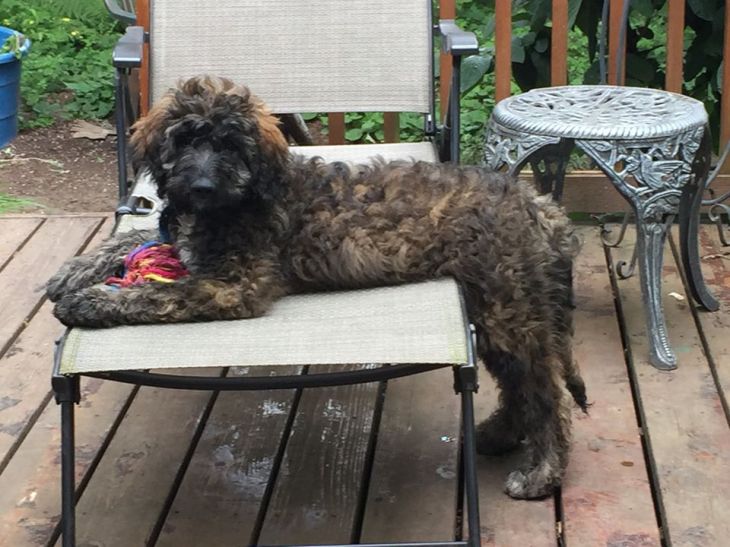 100072267_10223567330877125_1858763757245693952_o