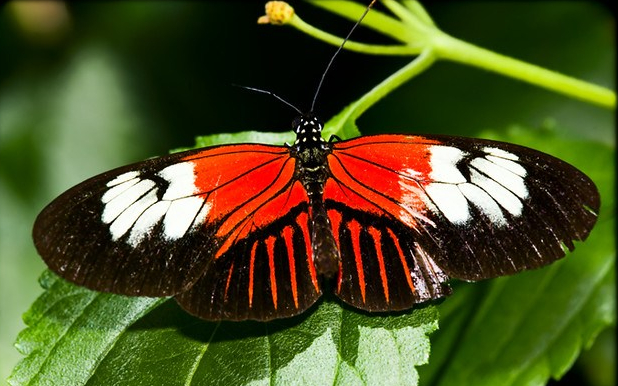 4737616900_1ebbae2dc4_z