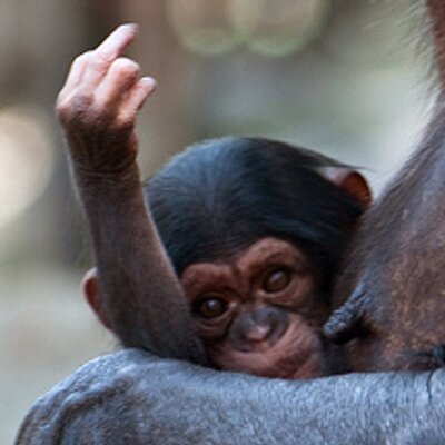 98437445_10223510771463175_3691686126495465472_n