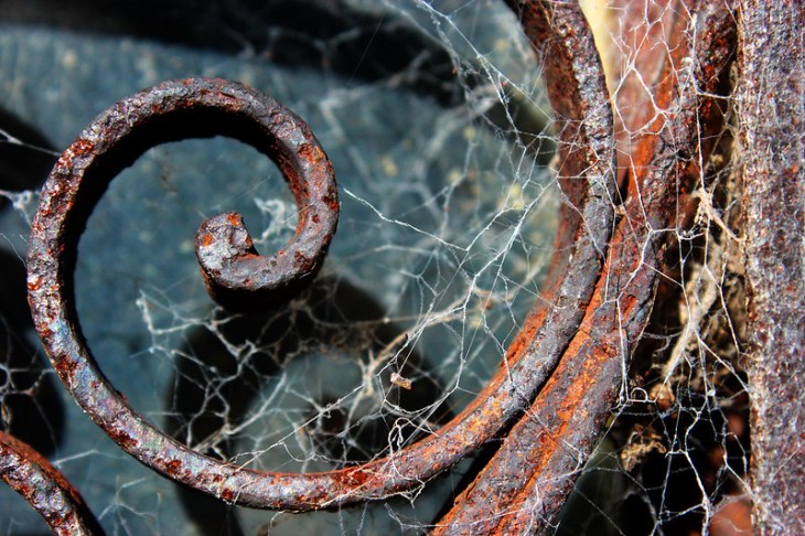 judith cohen cemetery
