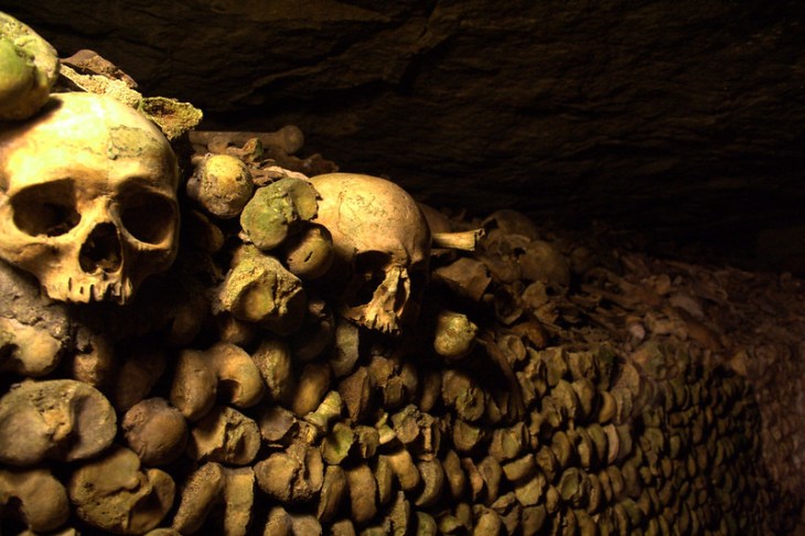 3420939346_289878c7e1_c