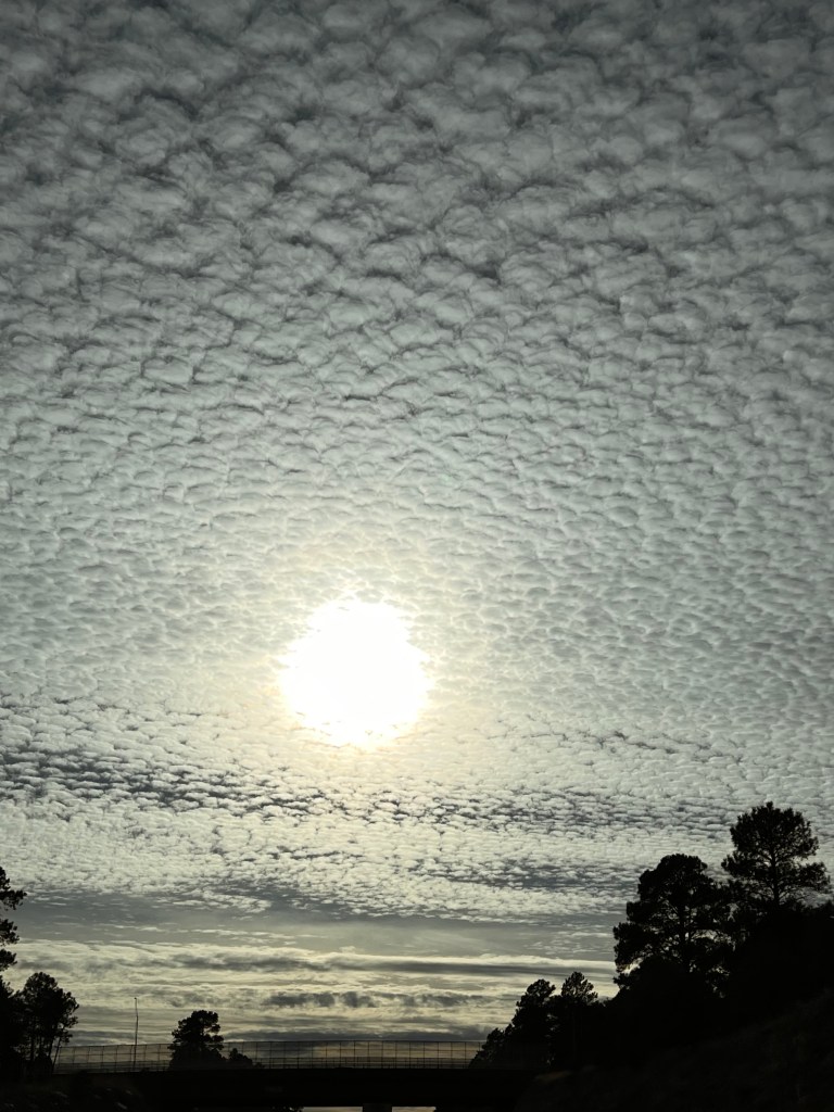 A photo of a very cloudy sky. The clouds are very geometric and are almost the exact shape repeated over and over across the sky. An extremely bright sun shines through the clouds near the bottom of the picture. The bottom of the picture features trees draped in shadow. 