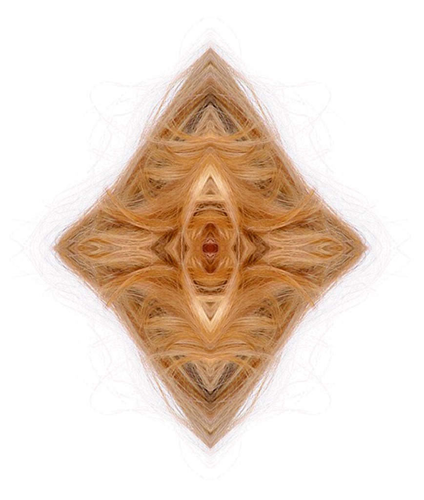 Photograph of light-colored hair positioned in a diamond shape with more triangular shapes within the diamond. Abstract and unique.