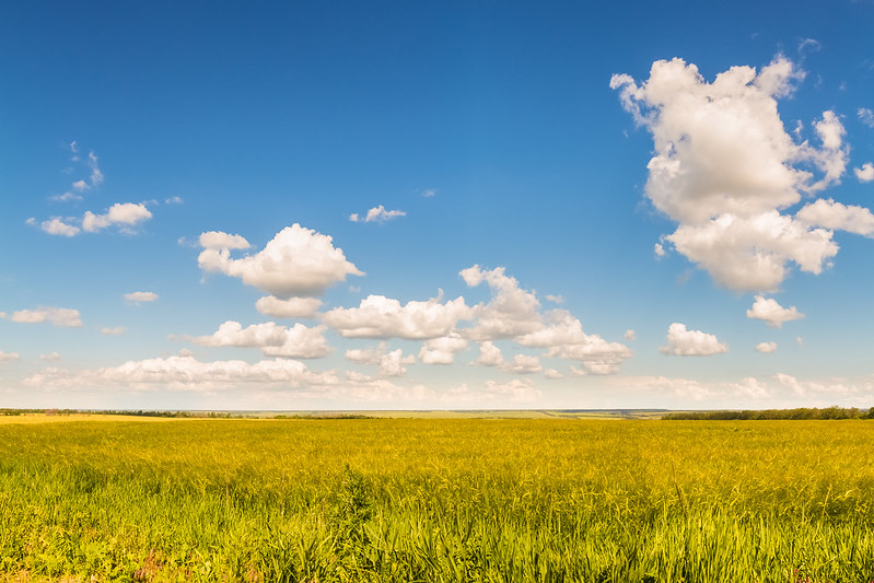 My Blue Heavens, a 2016 photograph by Anton Vakulenko. The sky goes from light blue over the horizon to a deep bright blue. There are small fluffy white clouds dotting the sky, above a field of green, yellow wheat.