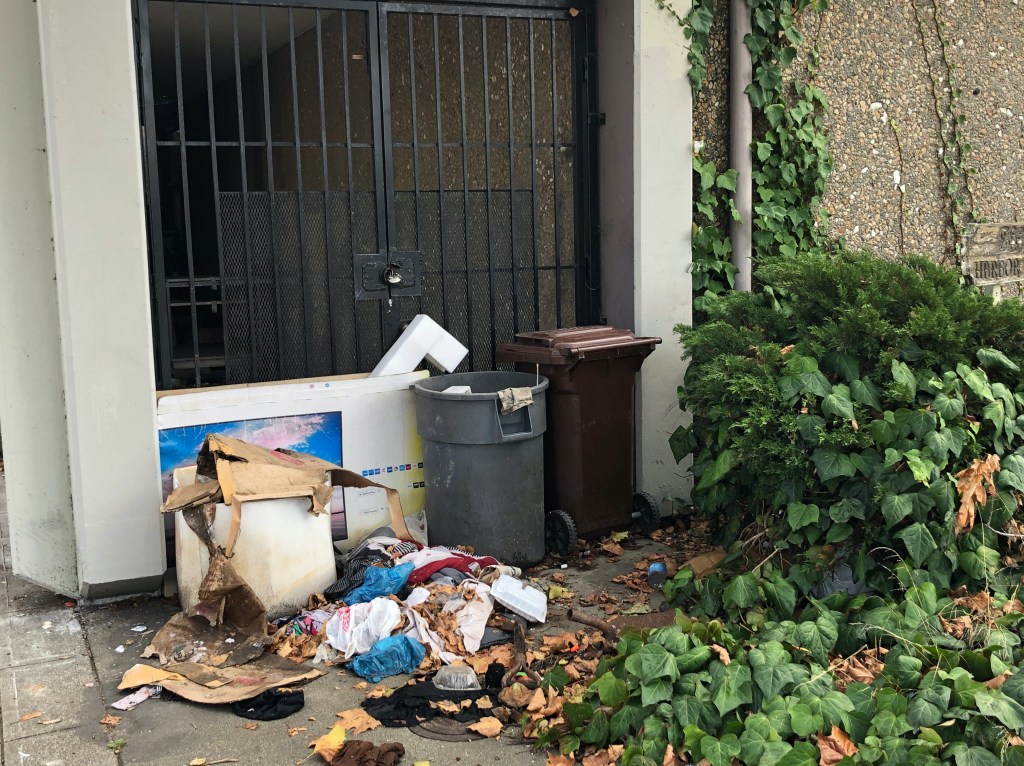 "Picked a rabid bat out of the lineup" by Alan Bern. A photo of trash abandoned outside a locked gate, next to an industrial gray trash bin and a brown lidded trash can. To their left Ivy explodes from the bushes, climbing the building's stone composite wall. 