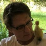 Joel Peckham gazes through rounded glasses at a duckling on his shoulder. They sit in shadow, before a sunny green field. 