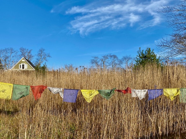 Photograph of the ACM Residency location, a barn at Shannaghe, in Belfast Maine. the barn's A-Frame roof pokes up from the dry grass, surrounded by trees, some bare, some green, and a clear blue sky. The dry yellow grass is spanned by a string of Tibetan Buddhist prayer flags. 