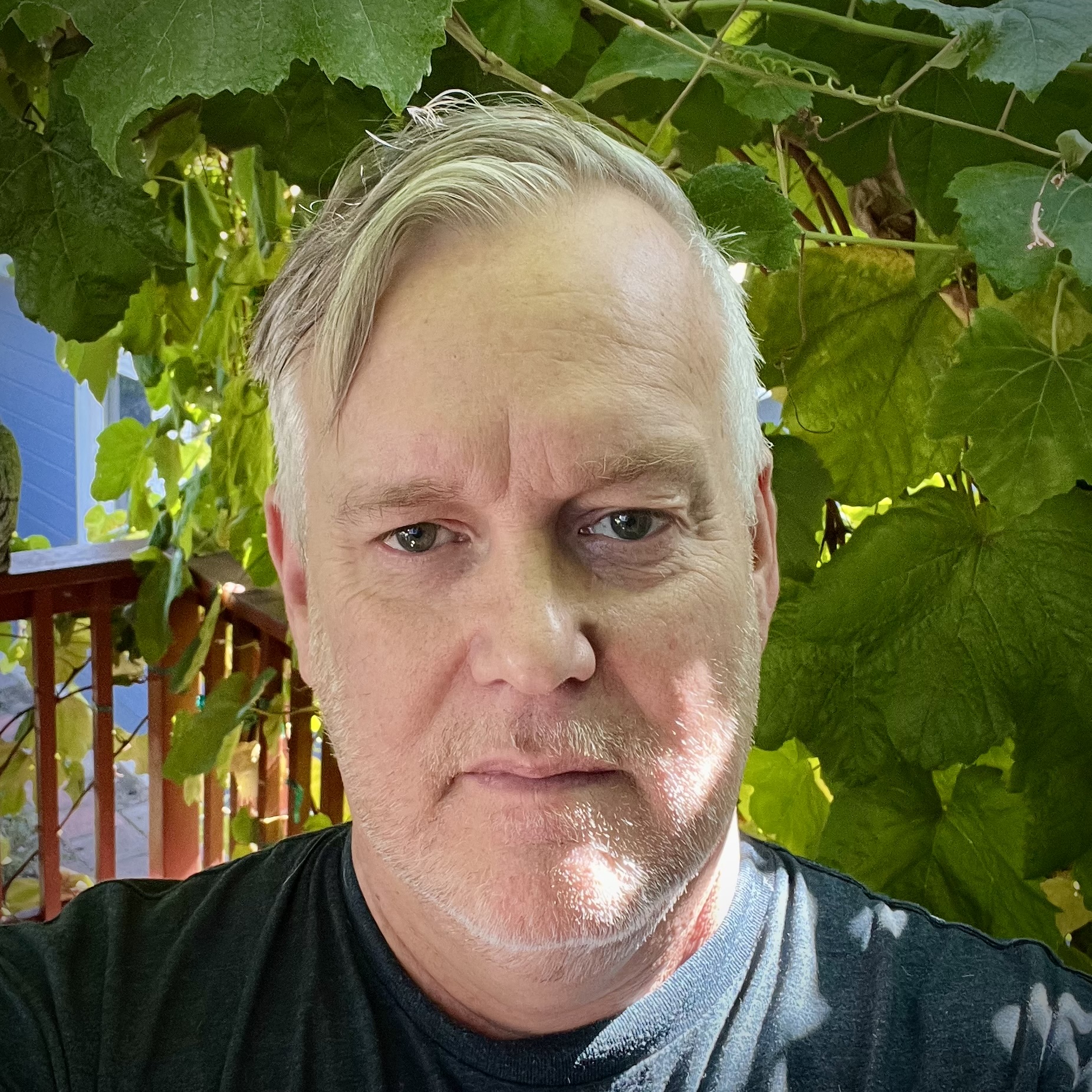 “Songbirds” by Brian Strang – Another Chicago Magazine